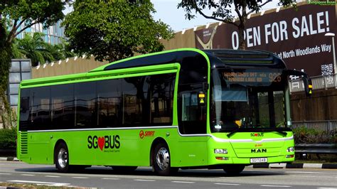 Others 926 bus .